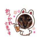 Chiro ＆ Dale（個別スタンプ：31）
