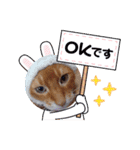 Chiro ＆ Dale（個別スタンプ：32）
