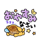 Chiro ＆ Dale（個別スタンプ：36）