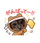 Chiro ＆ Dale（個別スタンプ：38）