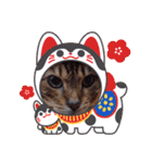 Chiro ＆ Dale（個別スタンプ：39）