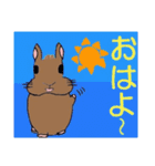 ネザーランド・ドワーフのラーちゃん（個別スタンプ：2）