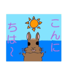 ネザーランド・ドワーフのラーちゃん（個別スタンプ：5）