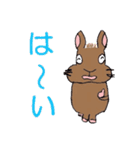 ネザーランド・ドワーフのラーちゃん（個別スタンプ：7）