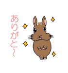 ネザーランド・ドワーフのラーちゃん（個別スタンプ：9）