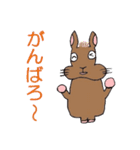 ネザーランド・ドワーフのラーちゃん（個別スタンプ：10）
