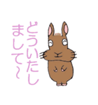 ネザーランド・ドワーフのラーちゃん（個別スタンプ：13）