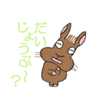 ネザーランド・ドワーフのラーちゃん（個別スタンプ：14）