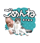 ひーちゃんだよー！（便利なほう）（個別スタンプ：8）