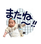 ひーちゃんだよー！（便利なほう）（個別スタンプ：16）