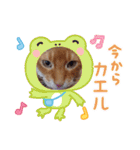 chirodale（個別スタンプ：3）