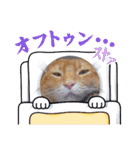 chirodale（個別スタンプ：4）