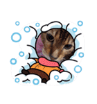chirodale（個別スタンプ：7）