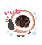 chirodale（個別スタンプ：11）