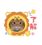 chirodale（個別スタンプ：12）
