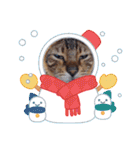 chirodale（個別スタンプ：15）