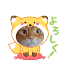chirodale（個別スタンプ：18）