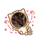 chirodale（個別スタンプ：27）