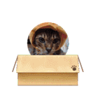 chirodale（個別スタンプ：29）