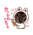 chirodale（個別スタンプ：31）