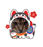 chirodale（個別スタンプ：40）