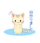 ちびにゃんこ17【敬語】（個別スタンプ：6）