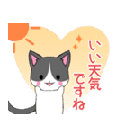 ちびにゃんこ17【敬語】（個別スタンプ：23）