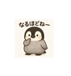 毎日使える♪リアルかわいいペンギン2（個別スタンプ：5）