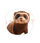 【フェレット】（個別スタンプ：1）