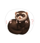 【フェレット】（個別スタンプ：2）