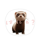 【フェレット】（個別スタンプ：4）