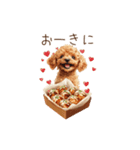 たこ焼き大好き！関西弁トイプードル（個別スタンプ：3）