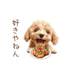 たこ焼き大好き！関西弁トイプードル（個別スタンプ：11）