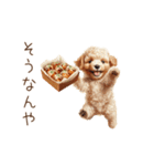 たこ焼き大好き！関西弁トイプードル（個別スタンプ：13）