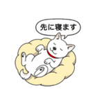 柴犬(白色)（個別スタンプ：20）