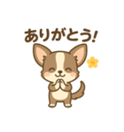 チワワの癒し  スタンプ（個別スタンプ：1）