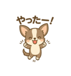 チワワの癒し  スタンプ（個別スタンプ：3）
