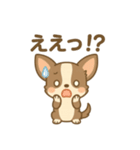 チワワの癒し  スタンプ（個別スタンプ：5）