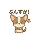 チワワの癒し  スタンプ（個別スタンプ：6）