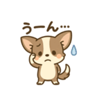 チワワの癒し  スタンプ（個別スタンプ：7）