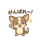 チワワの癒し  スタンプ（個別スタンプ：8）