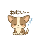 チワワの癒し  スタンプ（個別スタンプ：9）