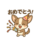 チワワの癒し  スタンプ（個別スタンプ：11）