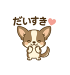 チワワの癒し  スタンプ（個別スタンプ：12）