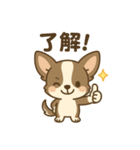 チワワの癒し  スタンプ（個別スタンプ：13）