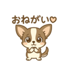 チワワの癒し  スタンプ（個別スタンプ：15）