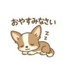 チワワの癒し  スタンプ（個別スタンプ：16）