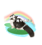 むーちゃんの日常（梅雨）（個別スタンプ：8）