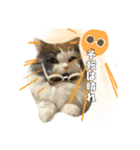むーちゃんの日常（梅雨）（個別スタンプ：9）