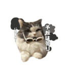 むーちゃんの日常（梅雨）（個別スタンプ：10）